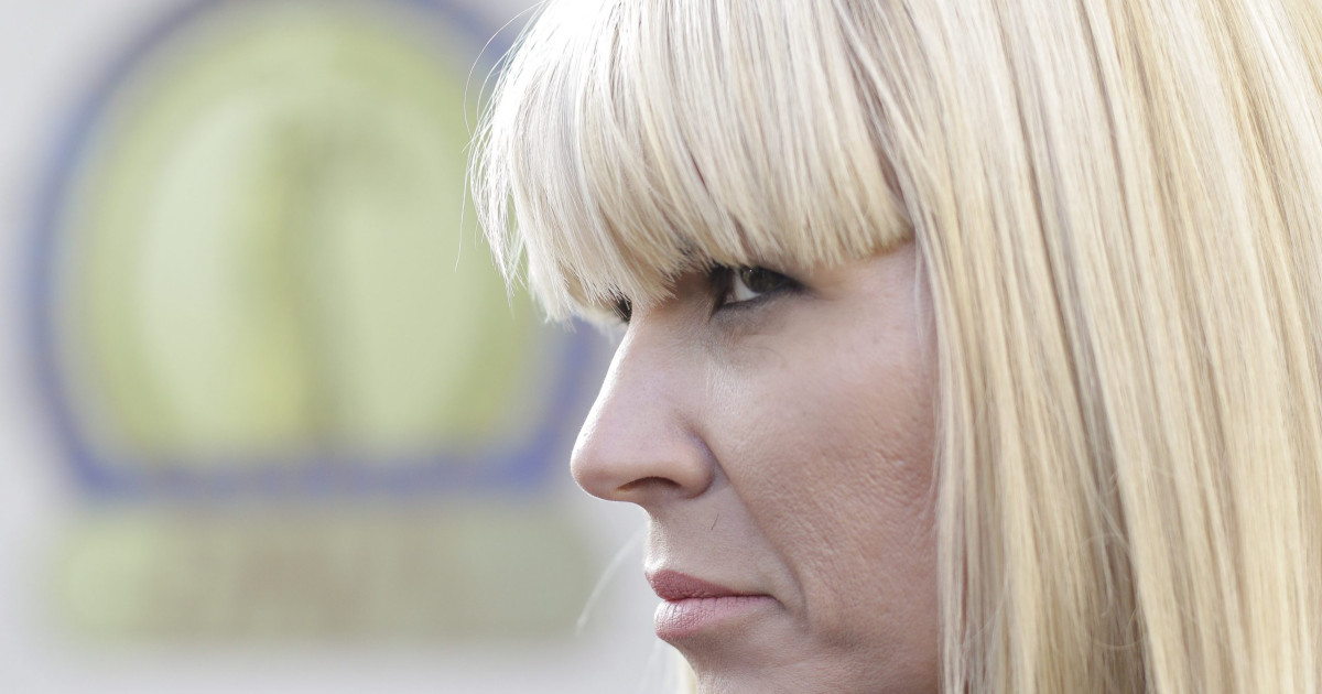 Elena Udrea ar putea iesi mai devreme din inchisoare