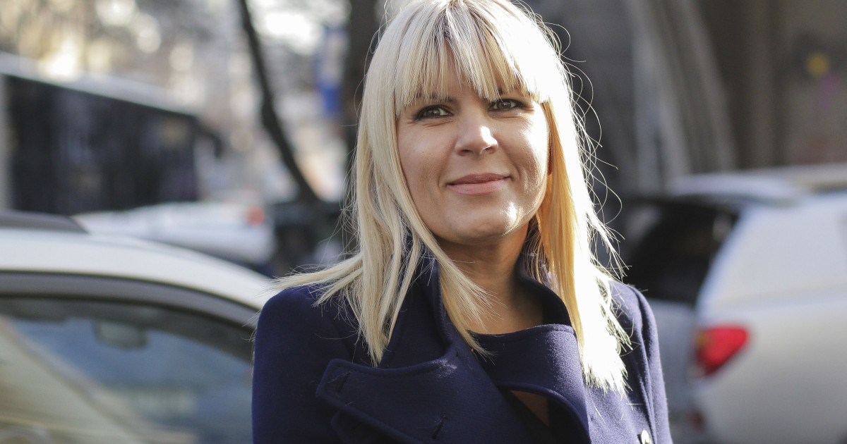 Elena Udrea solicita reducerea a 150 de zile din pedeapsa Tribunalul Prahova urmeaza sa se pronunte asupra contestatiei