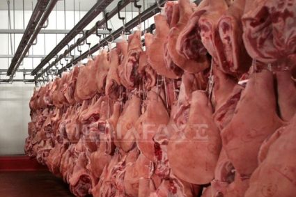 Activitate suspendata la un abator din Franta dupa un videoclip cu animale maltratate
