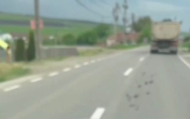 Noroi pe roti si pericol pe strazi Basculanta in Cluj VIDEO