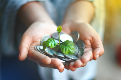 Polonia schimba regulile pentru sustinerea proiectelor ecologice