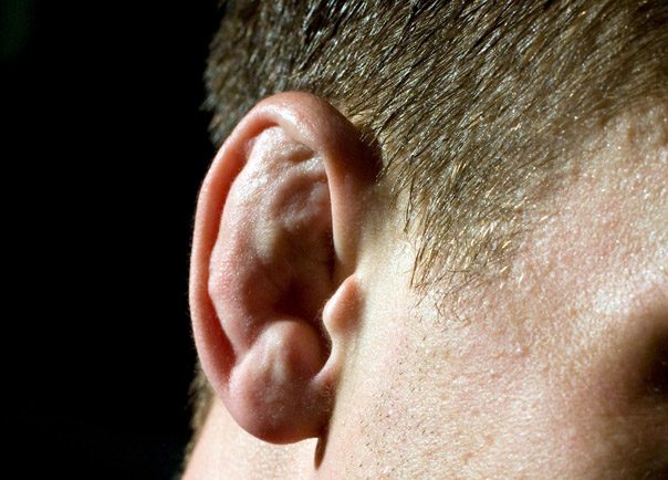 Primele semne ale bolii Parkinson in urechi