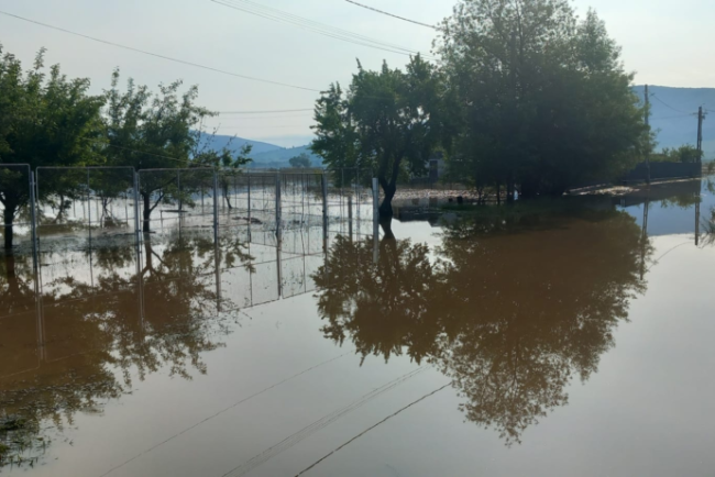 Solidaritate cu natura ISU Cluj evacuaza apa FOTOVIDEO