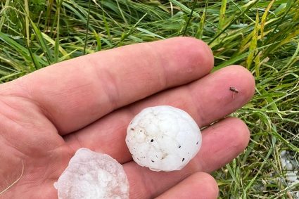 grindina furtunile si inghetul au facut daune record