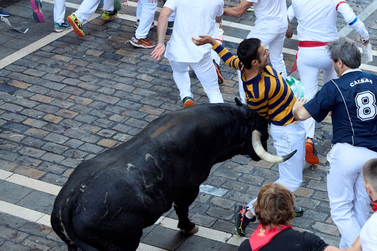Calugarul budist a concurat cu taurii la San Fermin