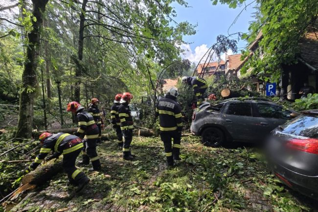 Pagube si copaci cazuti in 34 localitati