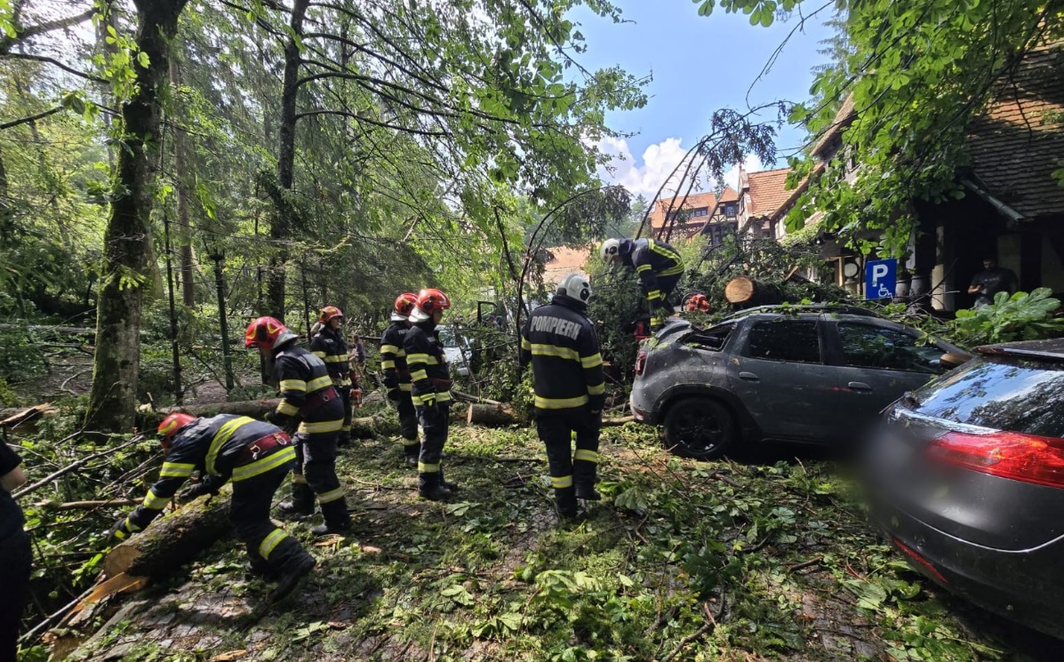 Pagube si copaci cazuti in 34 localitati