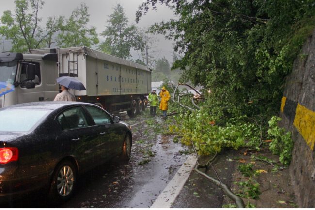 Trafic oprit partial pe DN1 la Sinaia din cauza copacilor cazuti