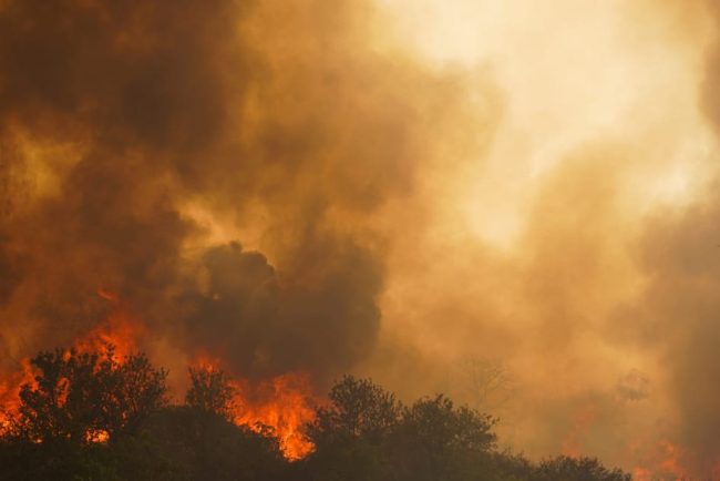 Fanii confuzi ai politicii alimenteaza incendiile din sudul Europei