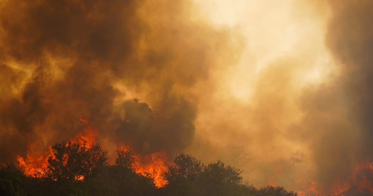 Fanii confuzi ai politicii alimenteaza incendiile din sudul Europei