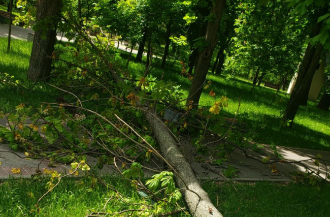 Incident grav langa parcul de caini din Cluj