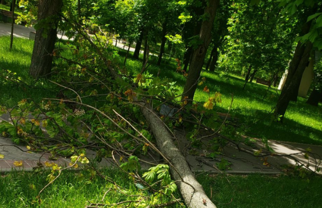 Incident grav langa parcul de caini din Cluj