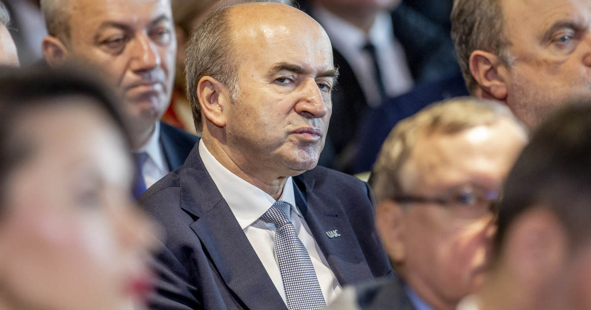 Tudorel Toader Eliminarea indexarii pensiilor e neconstitutionala
