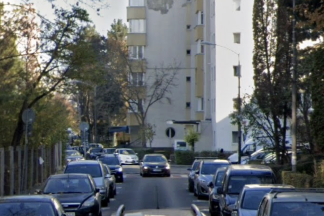 pericol de accident in cluj napoca copacii blocheaza masinile parcate ilegal