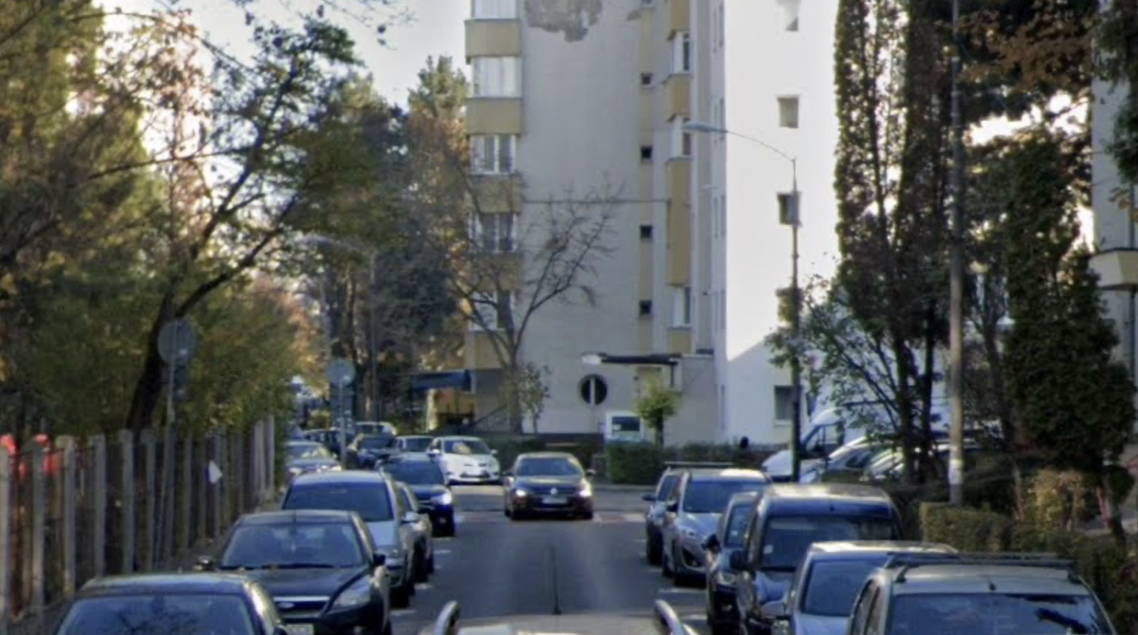 pericol de accident in cluj napoca copacii blocheaza masinile parcate ilegal