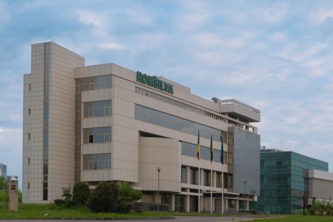 romsilva angajeaza director pentru 5 luni