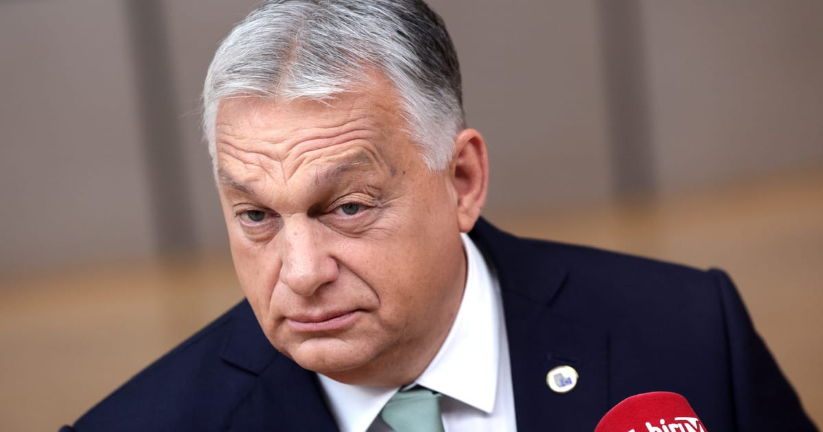 Centrul de gandire favorit al lui Orban a primit milioane din Budapesta