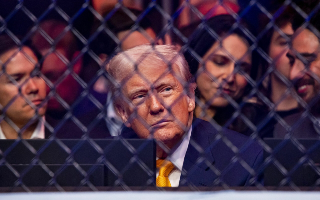 Democratii afirma ca Trump conduce Rusia din umbra
