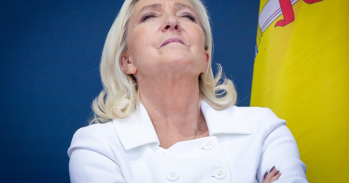 Marine Le Pen are un plan pentru votarea anticipata