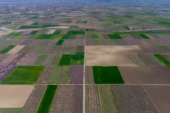 Zeci de persoane arestate in scandalul agricol din Grecia
