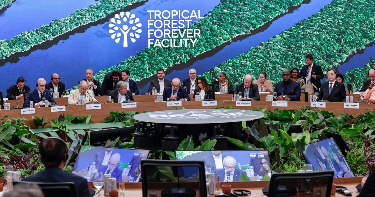Diplomatii se grabesc sa salveze rolul UK in fondul COP30