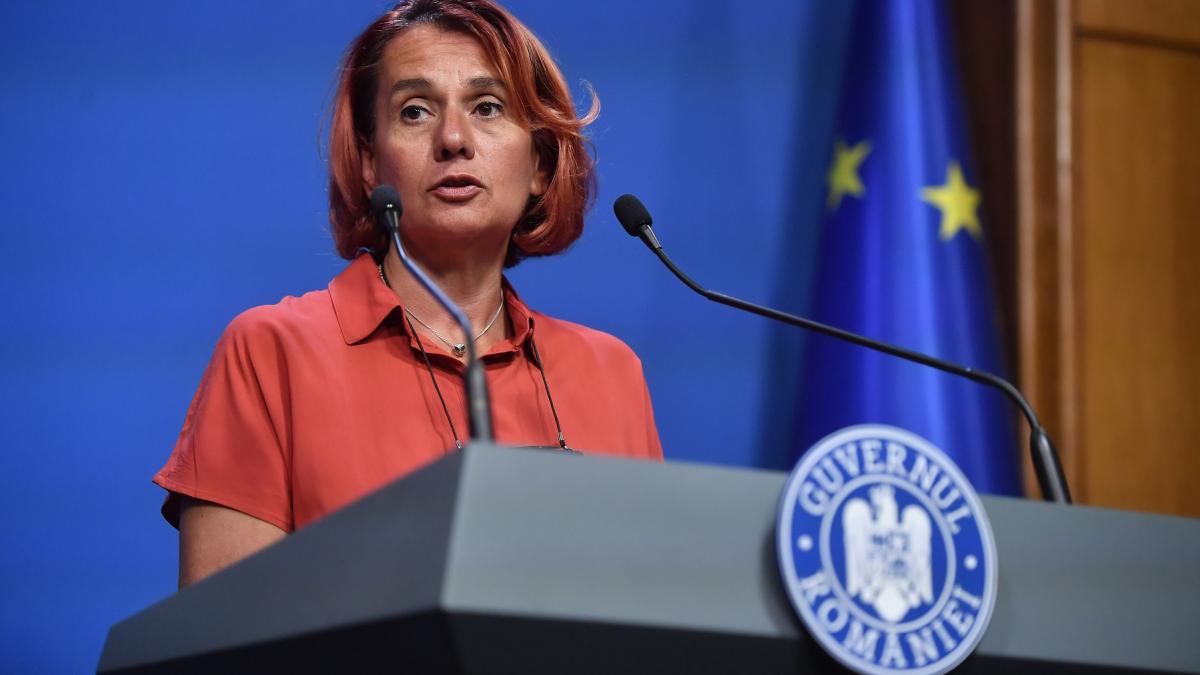 Parlamentul a validat candidatura Ioanei Dogioiu la Radio Public