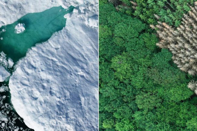 Groenlanda sau Islanda Stii care este diferenta dintre ele