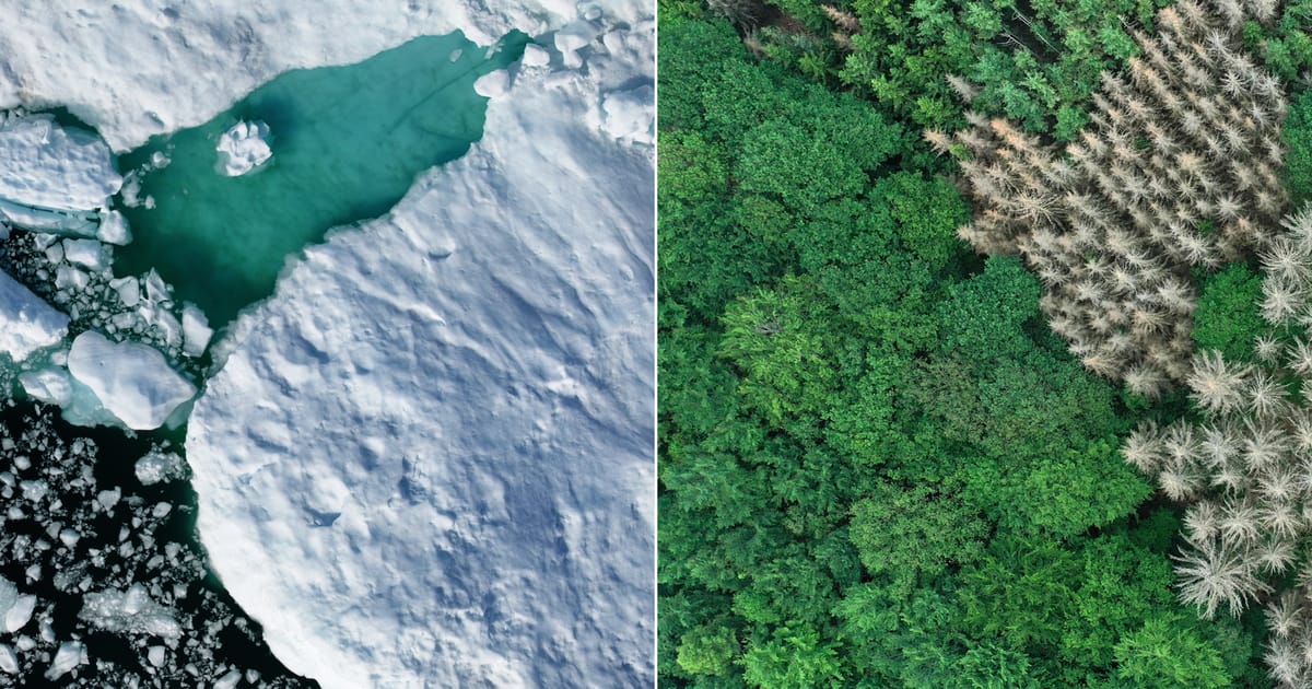 Groenlanda sau Islanda Stii care este diferenta dintre ele