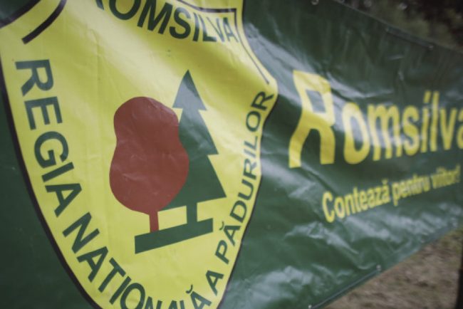 Romsilva a recastigat proprietatea asupra 43000 de hectare de padure retrocedate ilegal ICCJ a inchis dosarul ce l a vizat pe Hrebenciuc