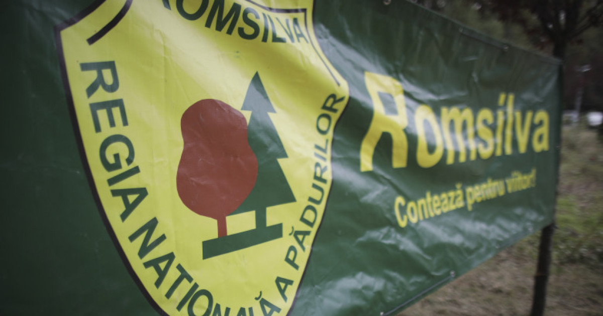 Romsilva a recastigat proprietatea asupra 43000 de hectare de padure retrocedate ilegal ICCJ a inchis dosarul ce l a vizat pe Hrebenciuc
