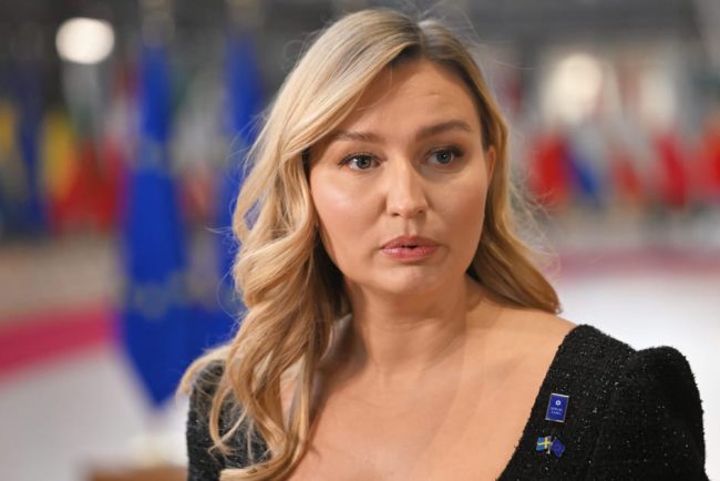 Vicepremierul suec liderii europeni trebuie sa devina mai activi si sa nu mai astepte ajutor din partea Bruxelles ului si a Statelor Unite