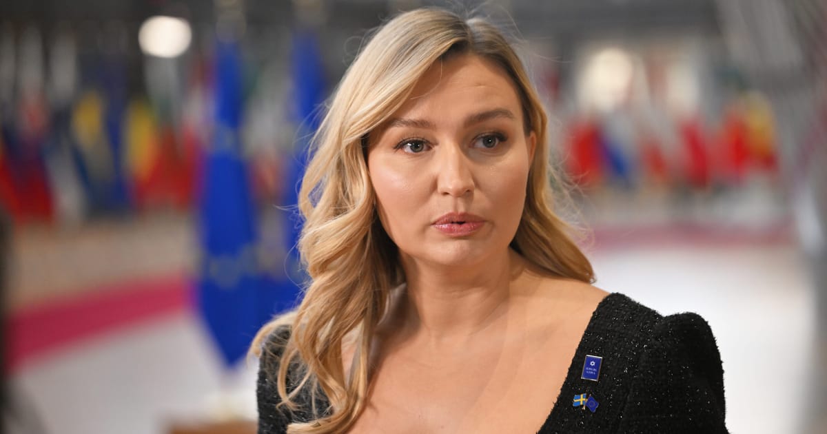 Vicepremierul suec liderii europeni trebuie sa devina mai activi si sa nu mai astepte ajutor din partea Bruxelles ului si a Statelor Unite
