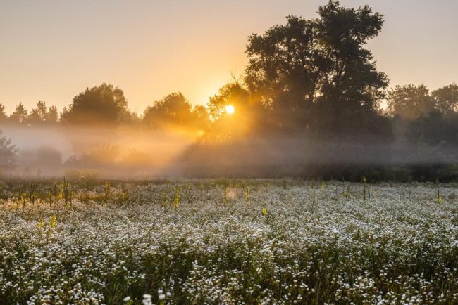 ANM previzioneaza temperaturi de 18 grade Celsius si cer senin in intreaga tara pentru saptamana viitoare