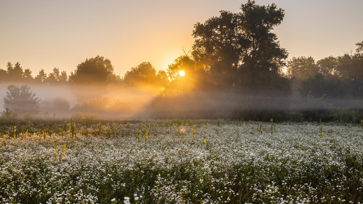 ANM previzioneaza temperaturi de 18 grade Celsius si cer senin in intreaga tara pentru saptamana viitoare