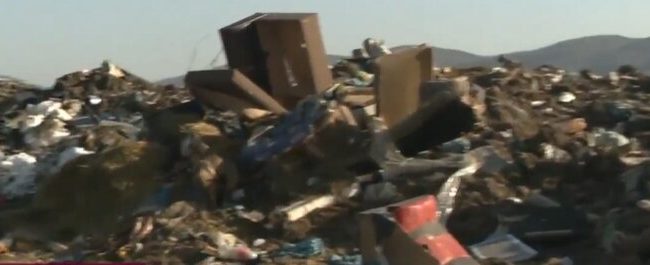 Autoritatile bulgare cerceteaza un posibil import ilegal de animale din Romania Descoperirea unui abator ilegal in apropierea localitatii Ihtiman