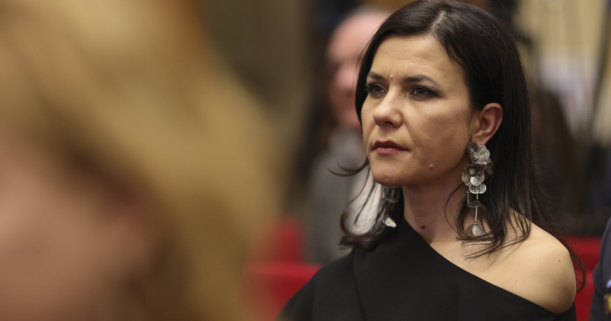 Experienta profesionala si averea Cristinei Chiriac candidat al ministrului Justitiei pentru functia de