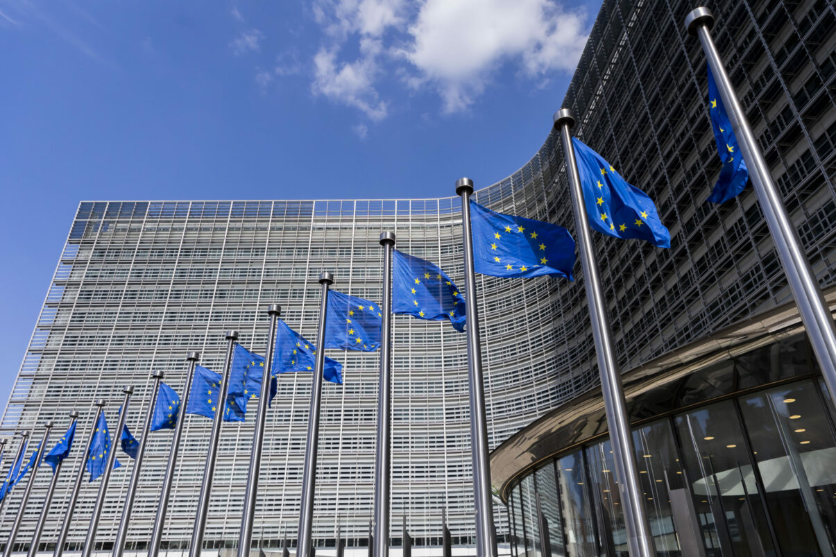 Inteligena Artificial utilizat de Comisia European pentru identificarea alimentelor contaminate i a focarelor de toxiinfecii alimentare
