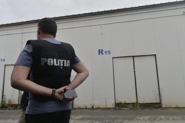 Peste 20 de perchezitii in 6 judete vizand infractiuni in domeniul silviculturii