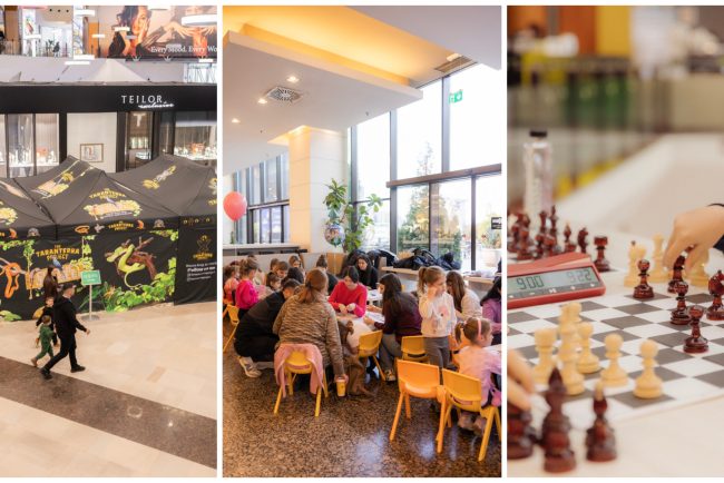 Un weekend plin de distractie si creativitate la Iulius Mall Cluj Copiii joaca sah creeaza buchete de flori si descopera tarantule si reptile vii
