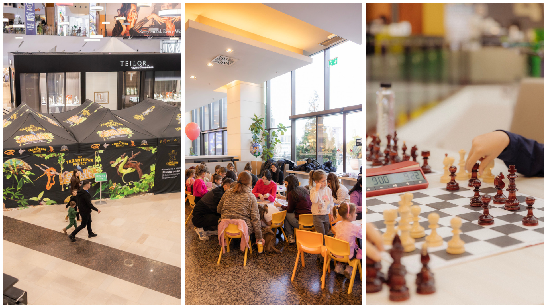 Un weekend plin de distractie si creativitate la Iulius Mall Cluj Copiii joaca sah creeaza buchete de flori si descopera tarantule si reptile vii