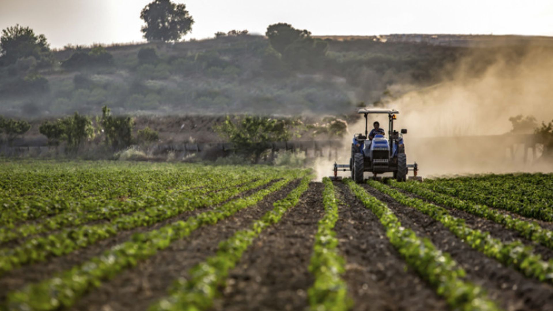 anunt important pentru agricultorii din apahida cluj intalnire la primarie despre obtinerea subventiilor agricole in 2026