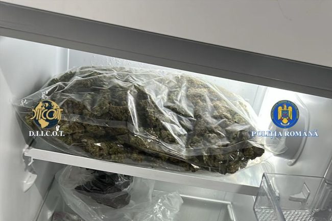 kilograme de canabis confiscate de la 5 tineri din valcea unul dintre ei este acuzat si de proxenetism