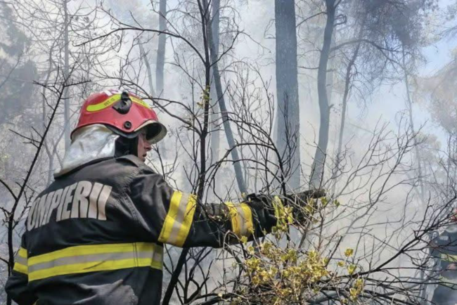pericol real in judetul cluj odata cu venirea primaverii primele incendii de vegetatie din 2026 au fost deja semnate