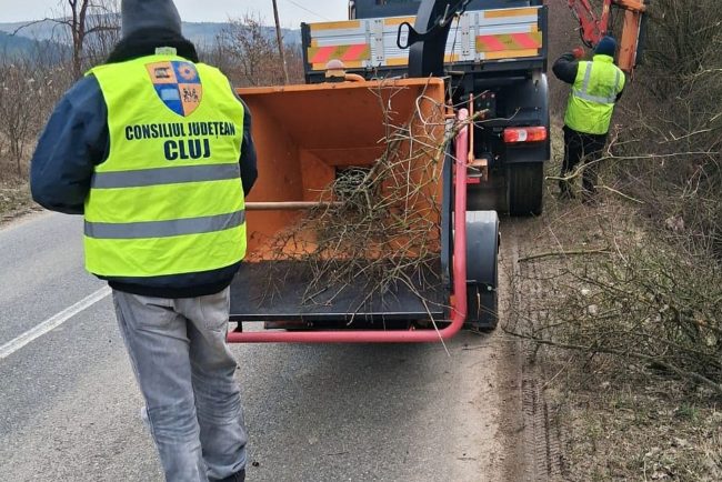siguranta crescutapentru soferi in judetul cluj consiliul judetean a inceput taierea copacilor de a lungul drumurilor