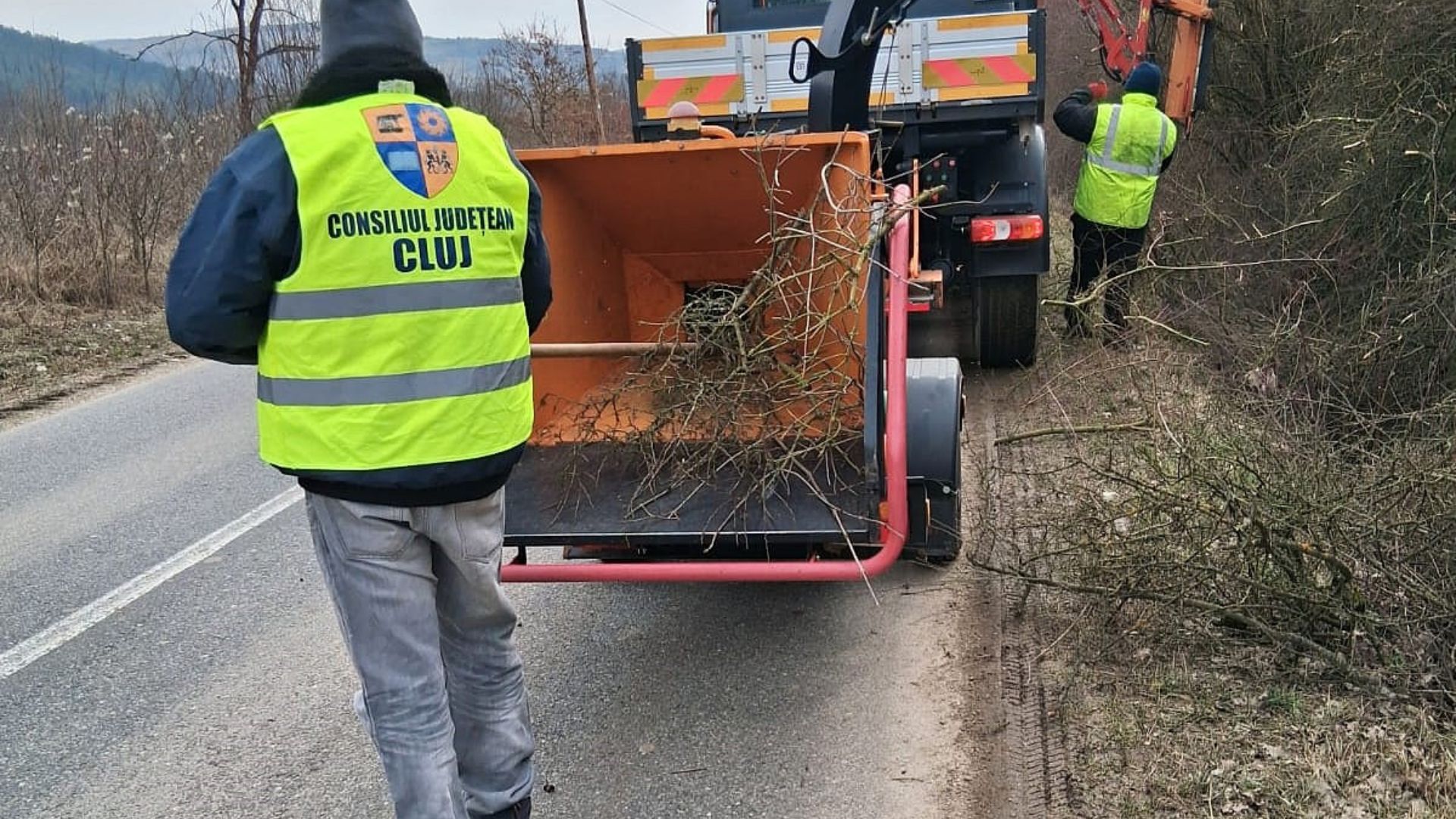 siguranta crescutapentru soferi in judetul cluj consiliul judetean a inceput taierea copacilor de a lungul drumurilor