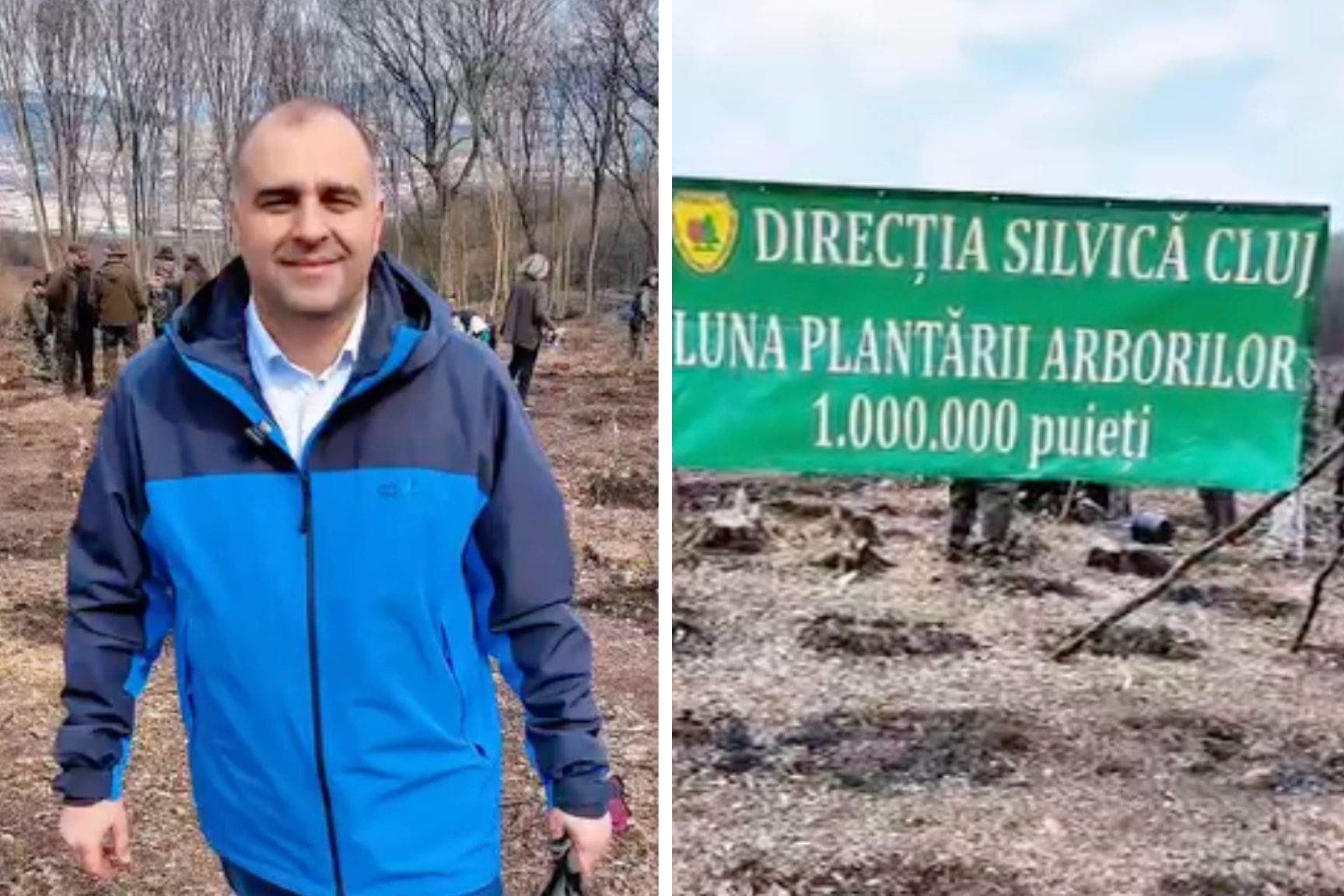 video 20000 de puieti planati dintr o singura zi la cluj actiune majora de reimpadurire in cheile baciului Cine a luat parte si cum te poti implica