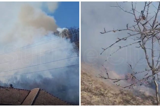 video incalcarea grava a legii a dat foc pentru a si distruge gunoaiele si a provocat un incendiu in padurea din cluj de necrezut