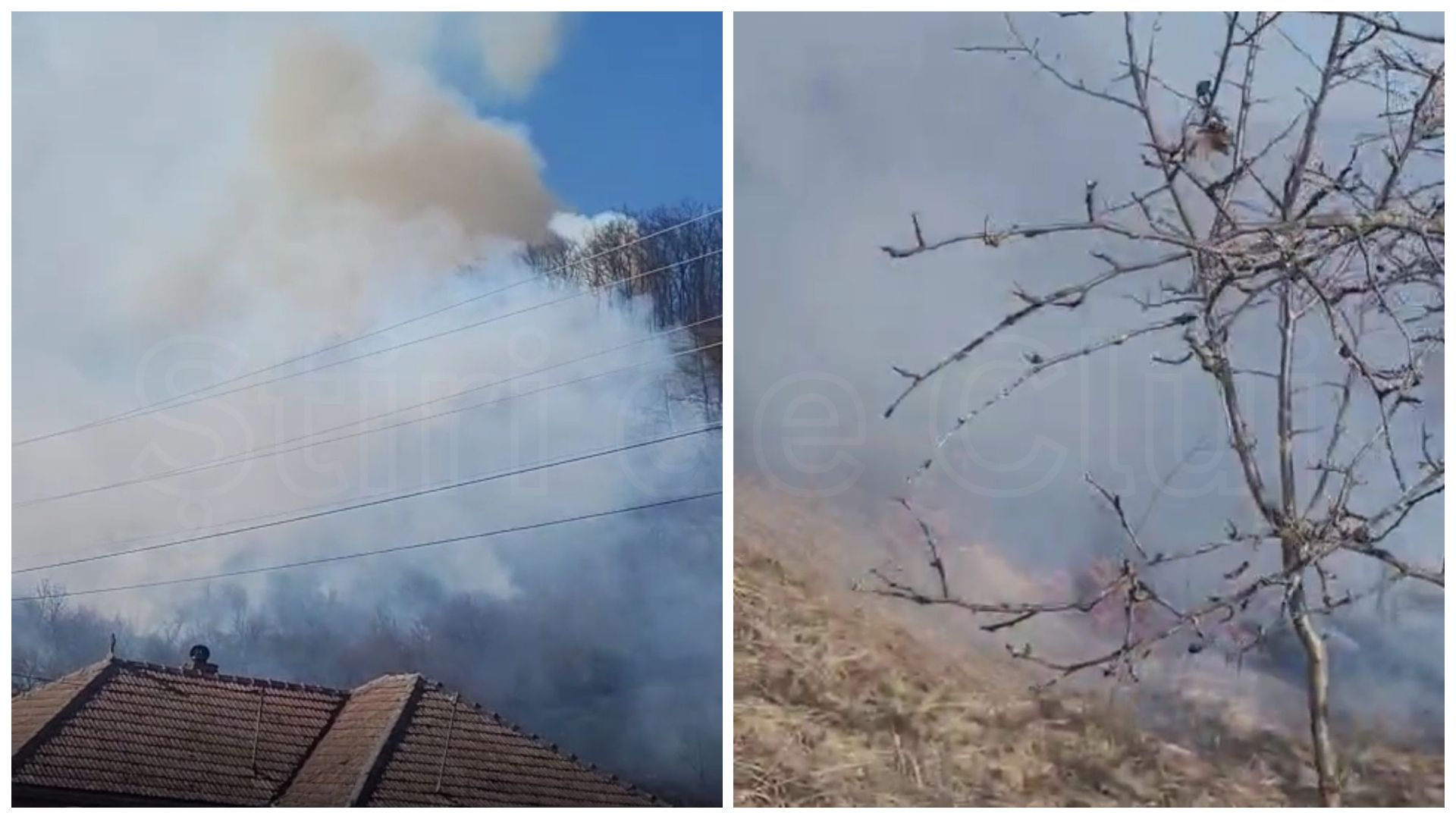 video incalcarea grava a legii a dat foc pentru a si distruge gunoaiele si a provocat un incendiu in padurea din cluj de necrezut
