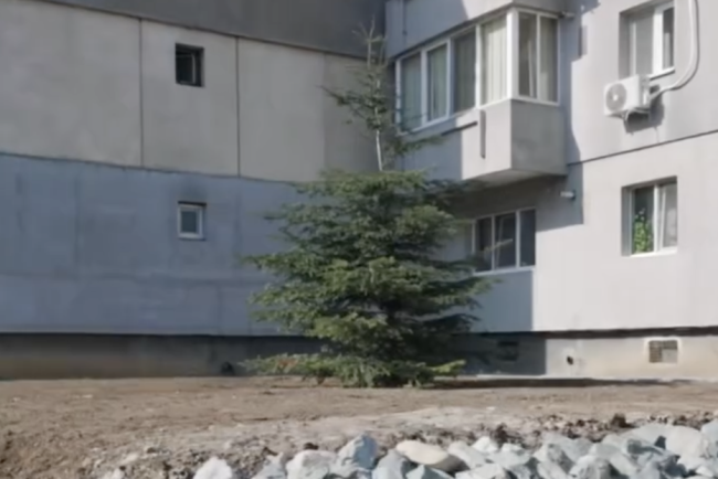 video o comuna din cluj renunta la beton primaria a demarat transformarea spatiilor neingrijite dintre blocuri in parcuri si zone verzi pentru cetateni