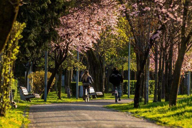 Cluj Napoca straluceste in aceasta primavara Ce poti explora acum pe malul Somesului si in parcurile orasului